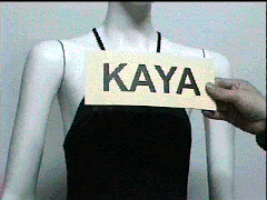 http://www.kaya-optics.com/images/ex1_1.gif