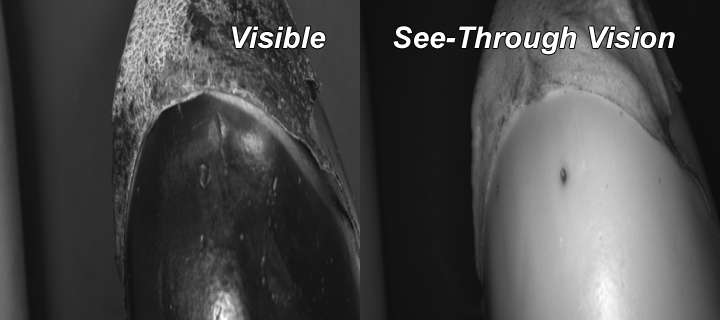 night vision seeing through clothing